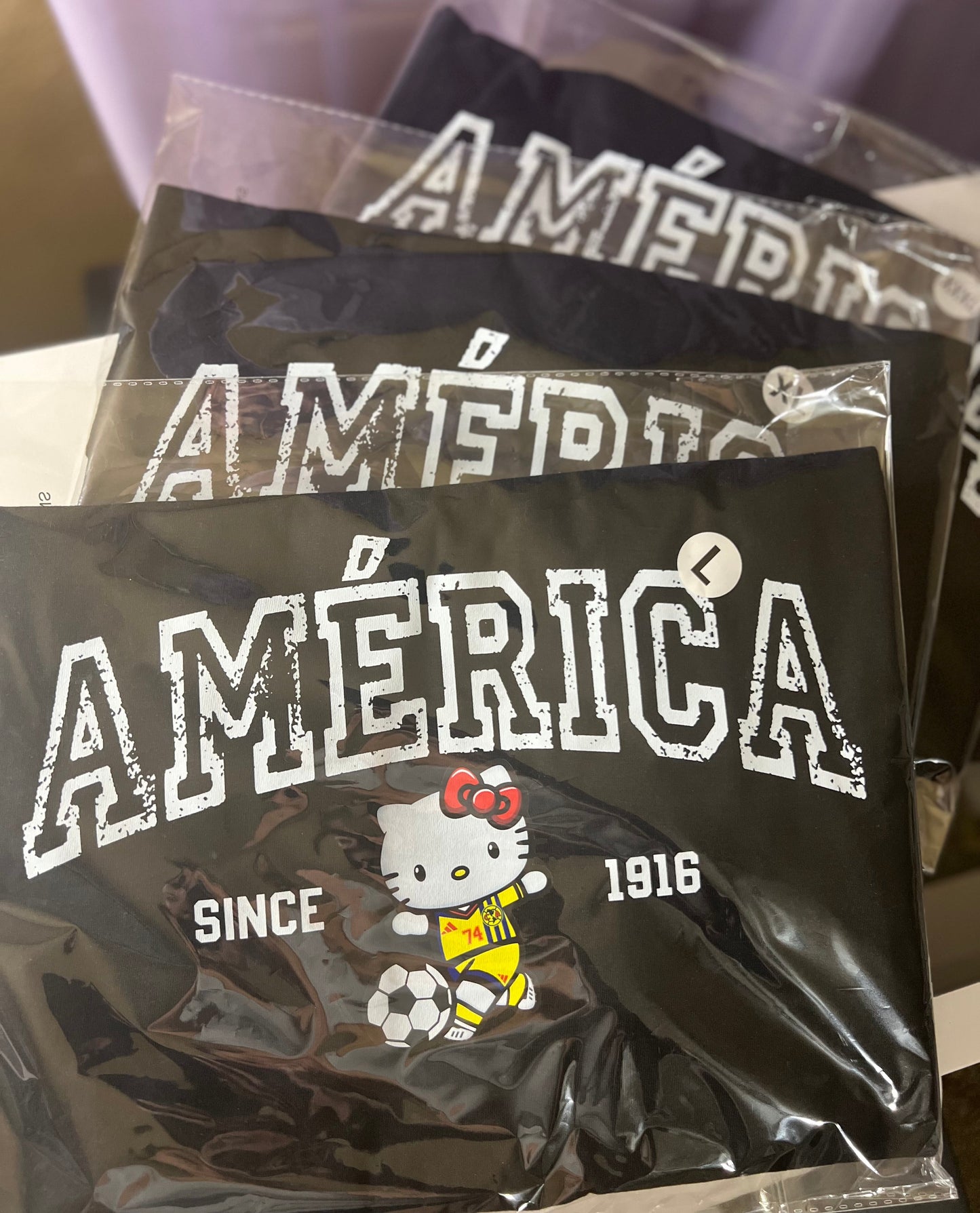 $15 HK America Shirt - READY TO SHIP