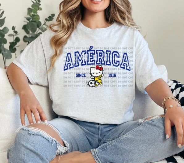 Gatita America