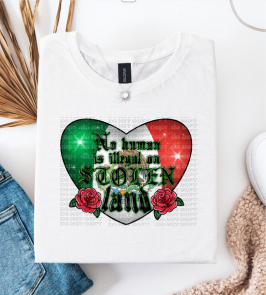 Mx Heart No Human Is Illegal DTF
