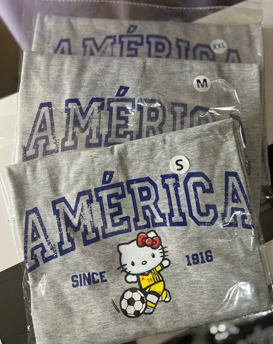 $15 HK America Shirt - READY TO SHIP