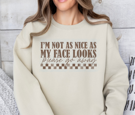 Not As Nice As My Face Looks DTF