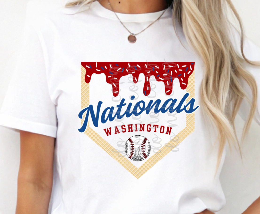 Washington Ice Cream Drip DTF