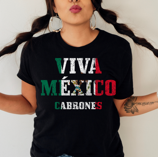 Viva Mexico Cabrones DTF