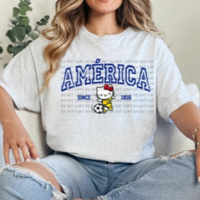 Gatita America
